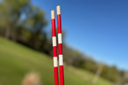 Salt City Golf - Customized Alignment Sticks - Hickory - Pair