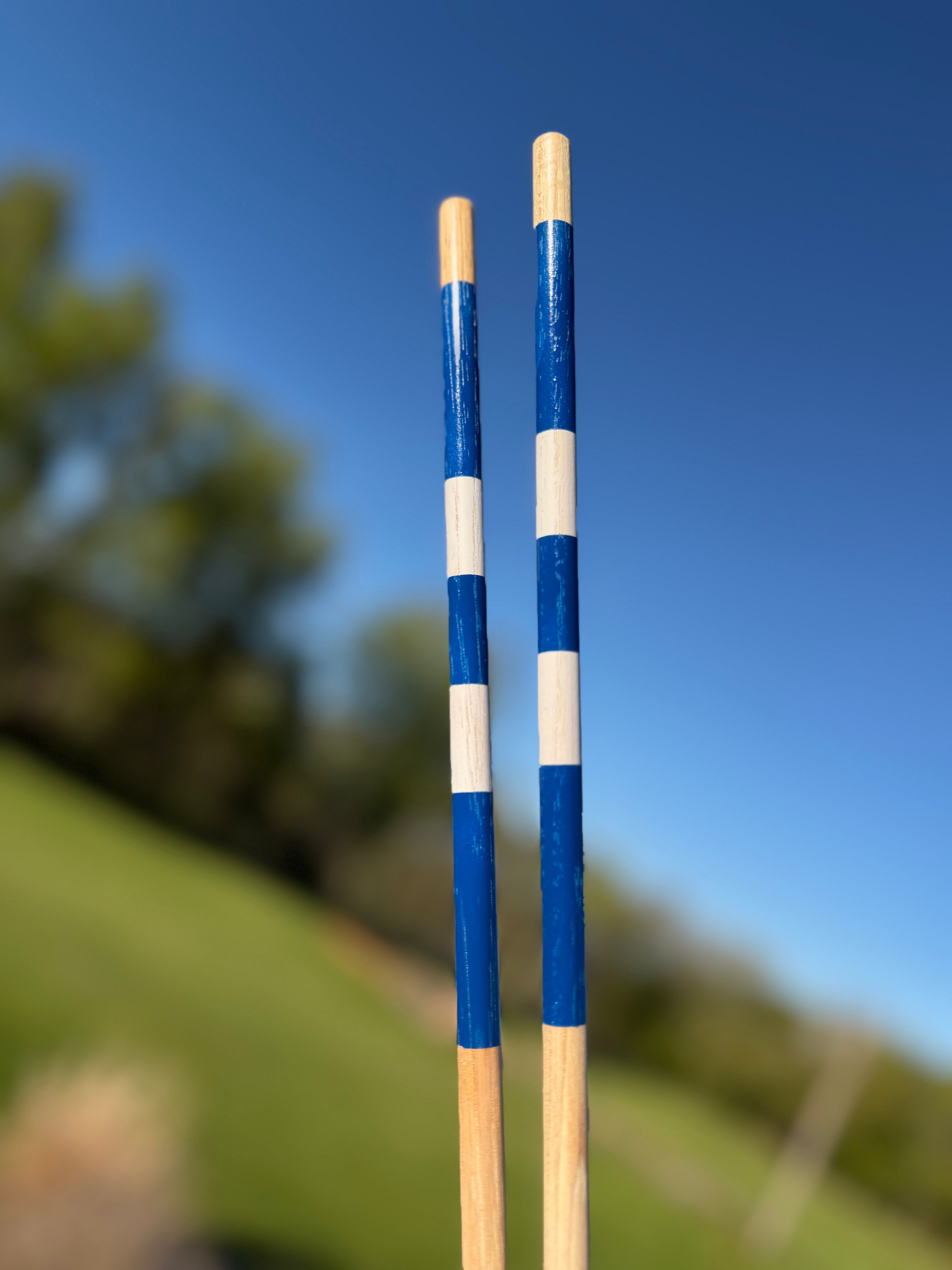 Salt City Golf - Customized Alignment Sticks - Hickory - Pair