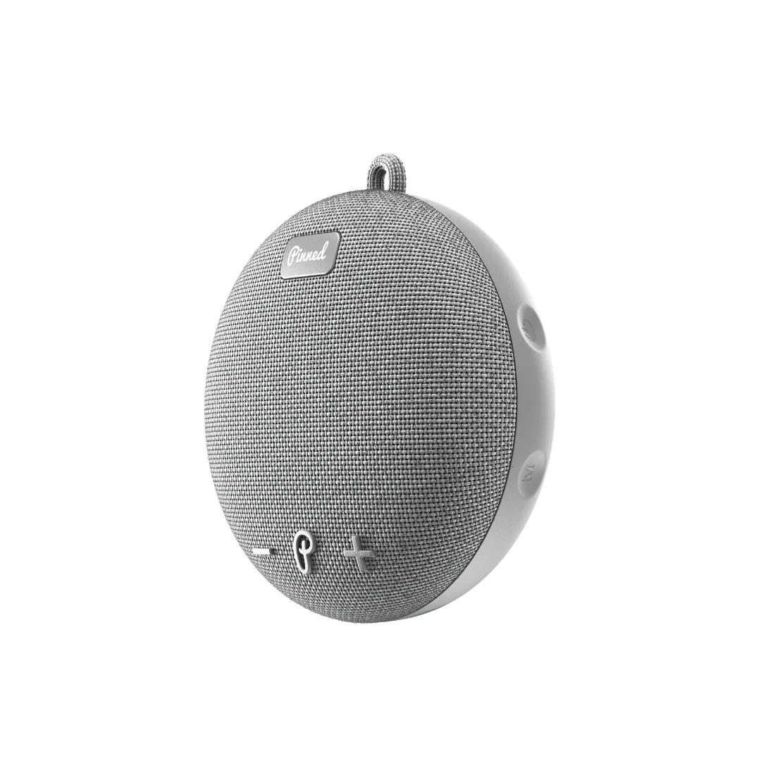 Pinned - Dart 2.0 Speaker