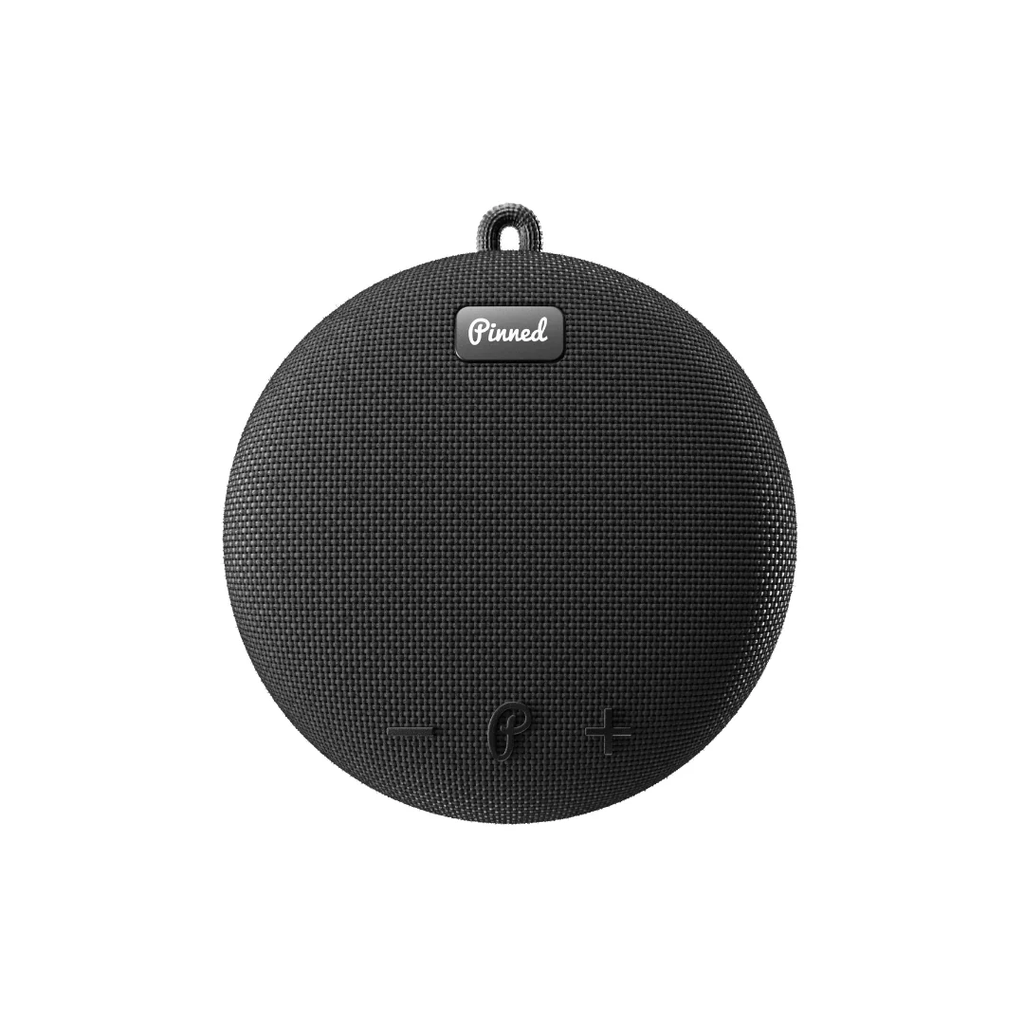 Pinned - Dart 2.0 Speaker