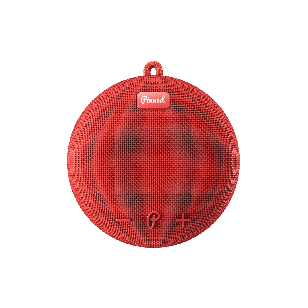 Pinned - Dart 2.0 Speaker