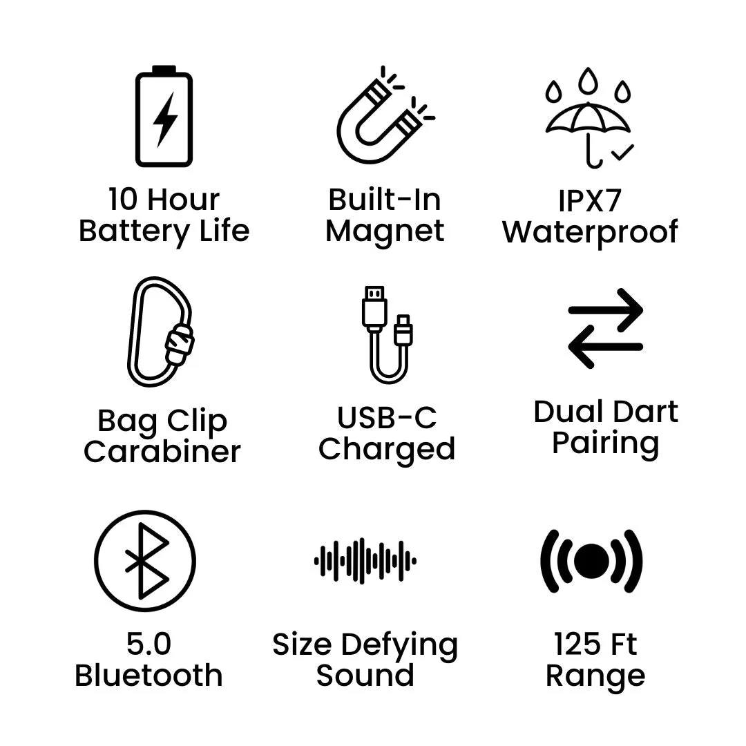 Pinned - Dart 2.0 Speaker