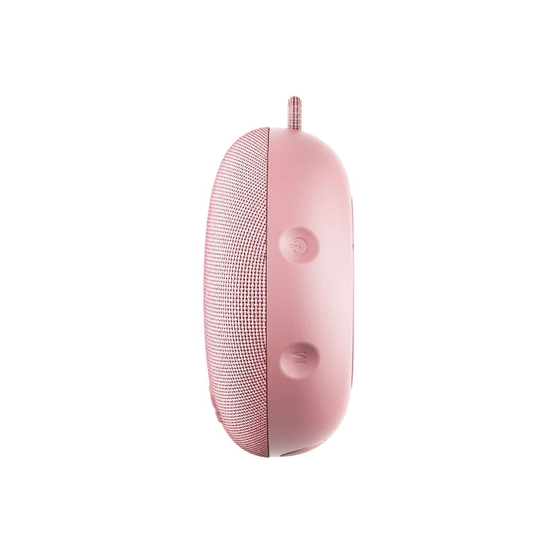 Pinned - Dart 2.0 Speaker