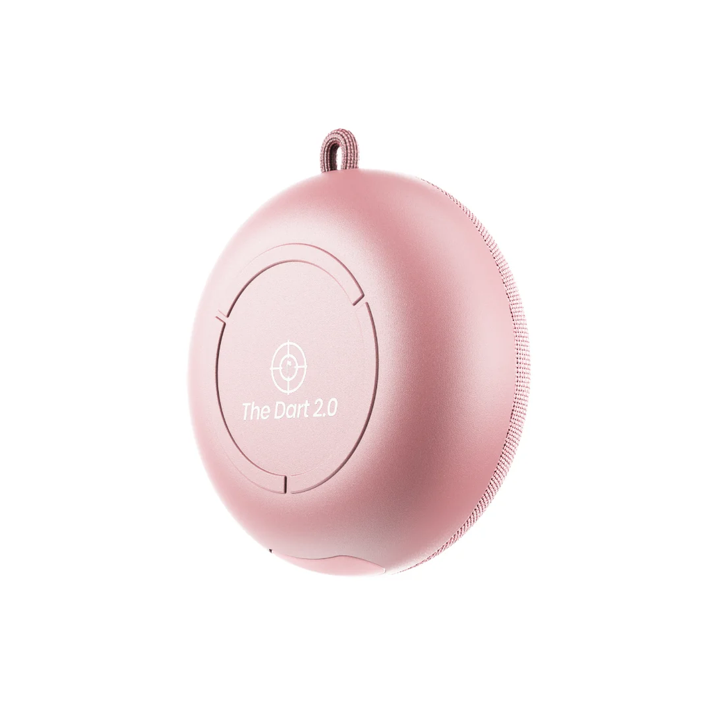 Pinned - Dart 2.0 Speaker